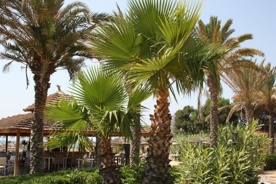 К морю Nahrawess Resort & Thalasso