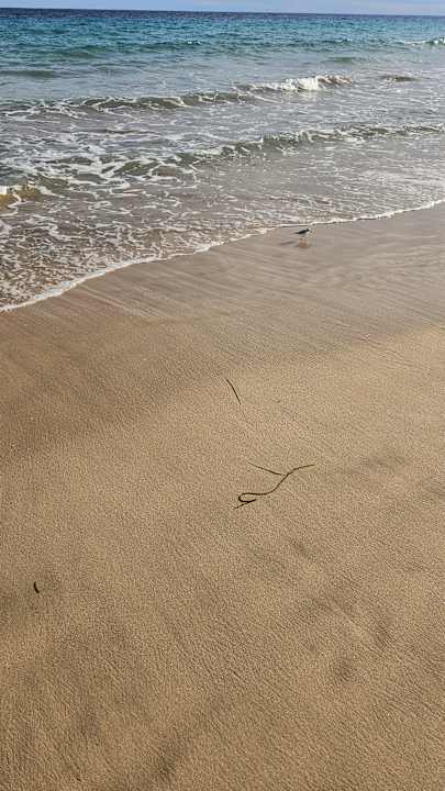 Strand MUR Hotel Faro Jandia & Spa Fuerteventura