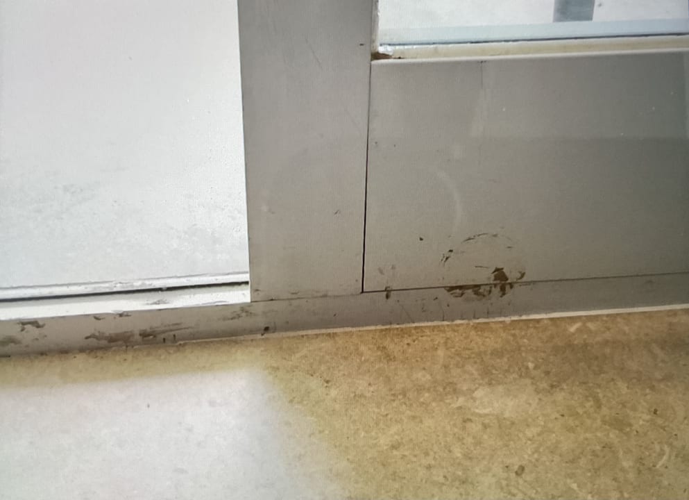 Zimmer allsun Hotel Bella Paguera