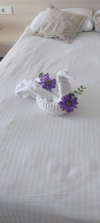 Zimmer Seaden Corolla Hotel