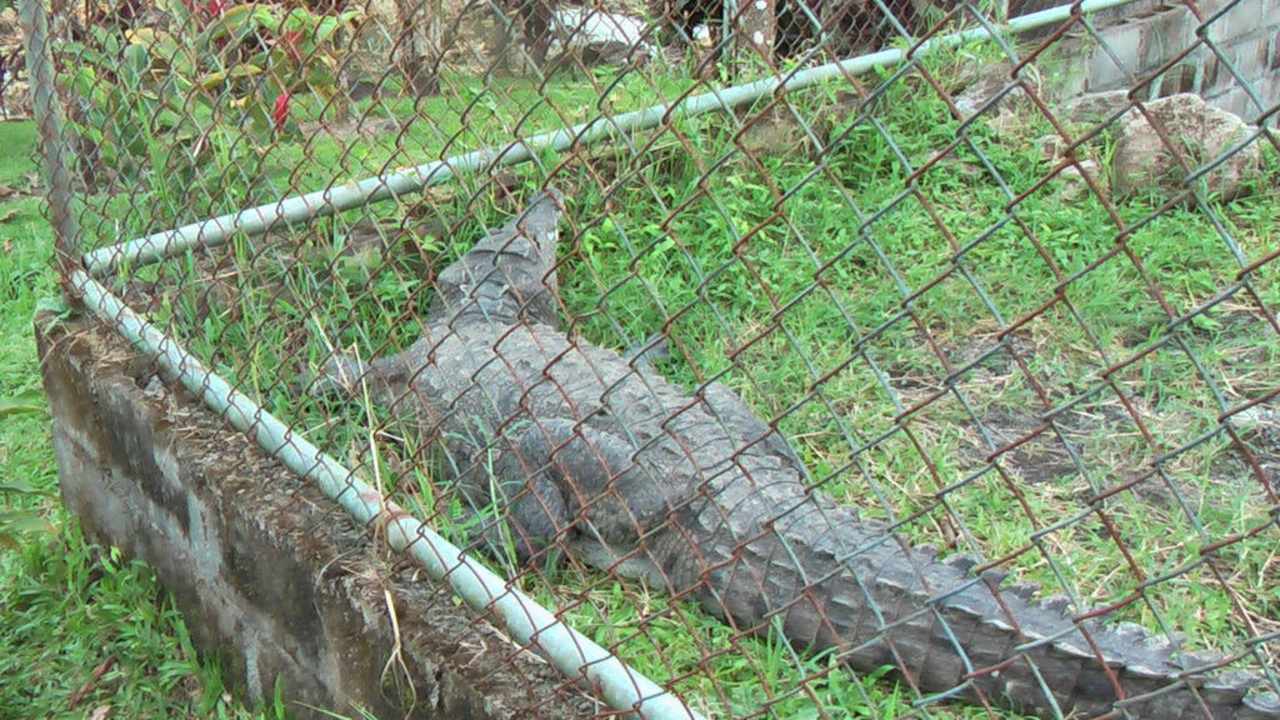 Kleiner Tierpark Hotel Los Lagos