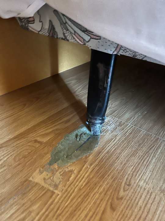 Zimmer Be Live Tenerife - Adults only