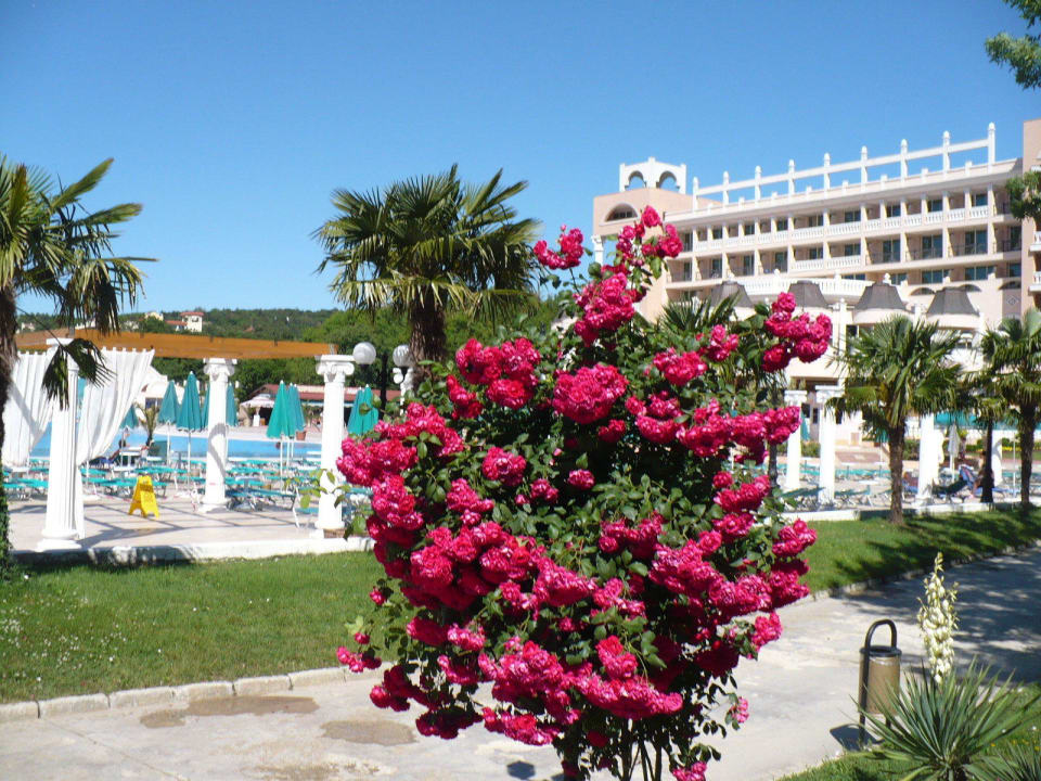 Hotel w kwiatach Duni Royal Resort - Marina Beach