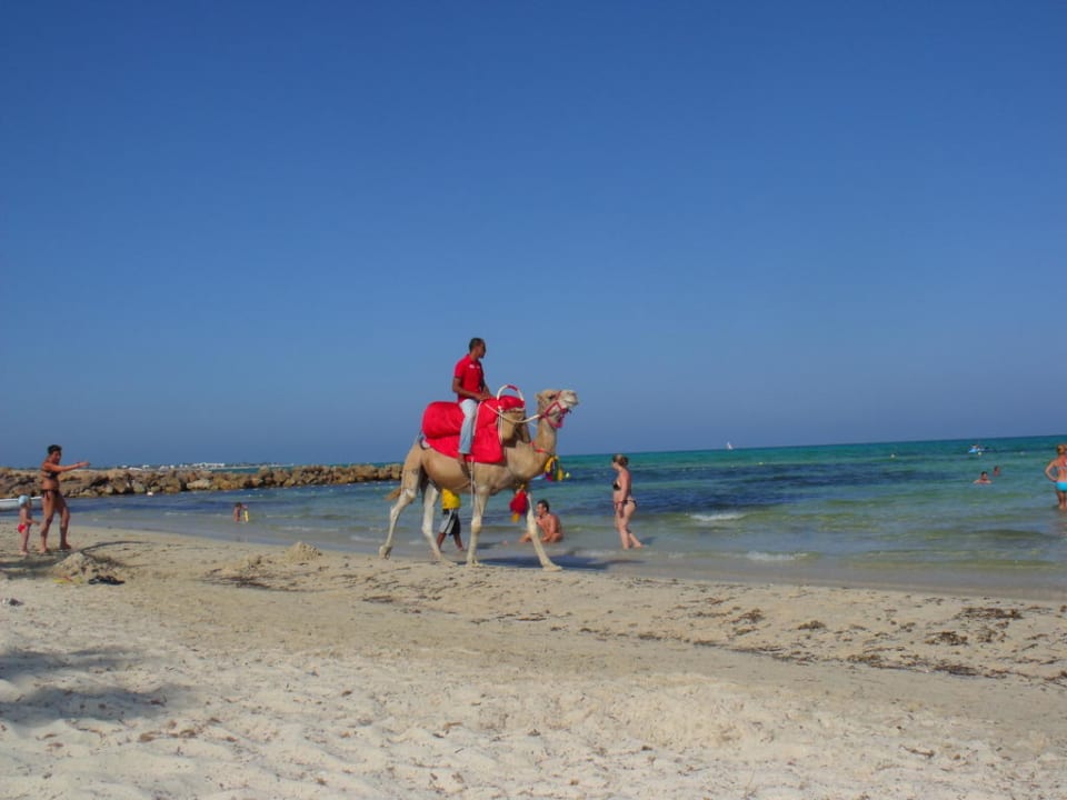 Freizeitmöglichkeit Djerba Castille