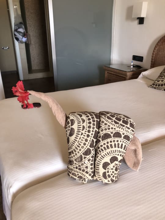 Zimmer Hotel Riu Touareg