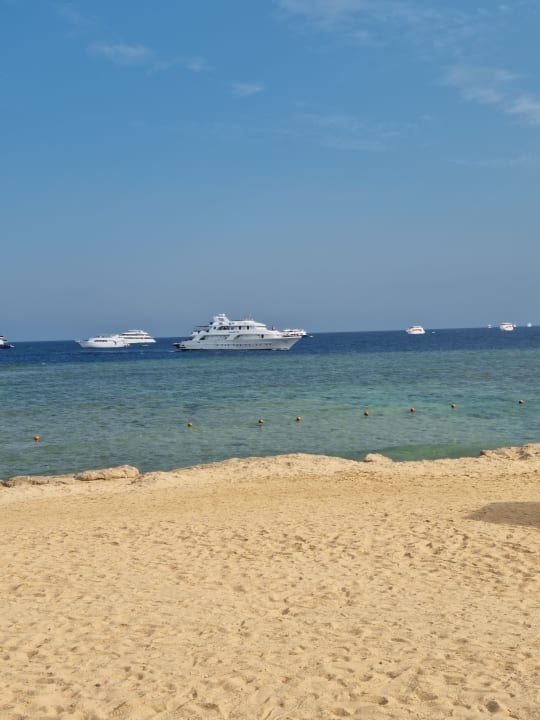 Strand Pickalbatros Palace Hotel-Port Ghalib