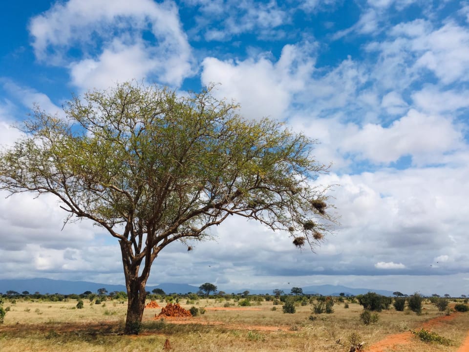 Ausblick Ol Tukai Lodge