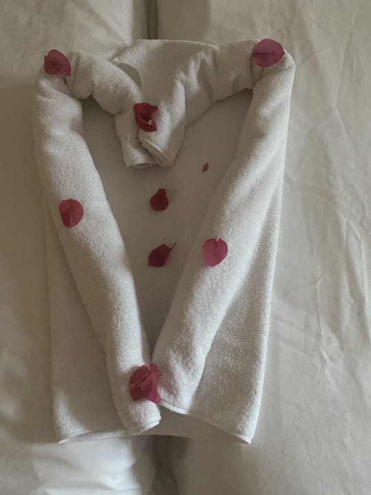 Zimmer Iberostar Waves Mehari Djerba