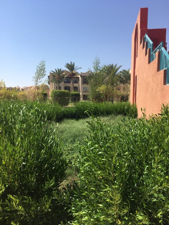 Ausblick Swisstouch Oriental Resort Marsa Alam