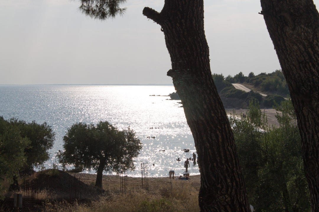 Blick vom Zimmer auf den Strand des Nachbarhotels Blue Dolphin Resort Hotel