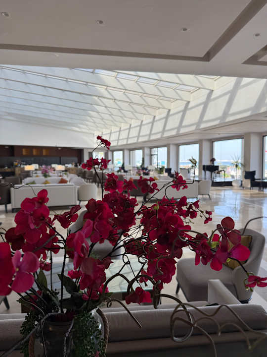 Lobby Iberostar Selection Kuriat Palace