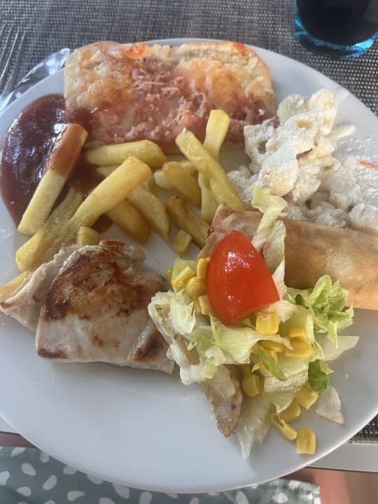 Gastro FERGUS Style Bahamas