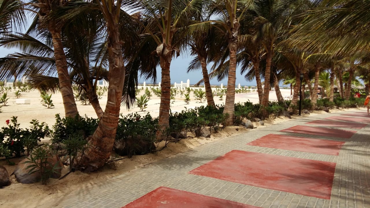 Garten Hotel Riu Karamboa