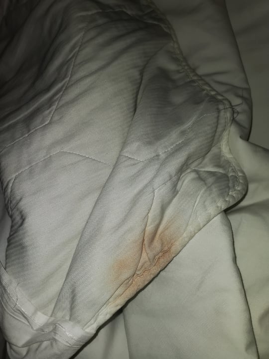 Zimmer Meliá Sunny Beach