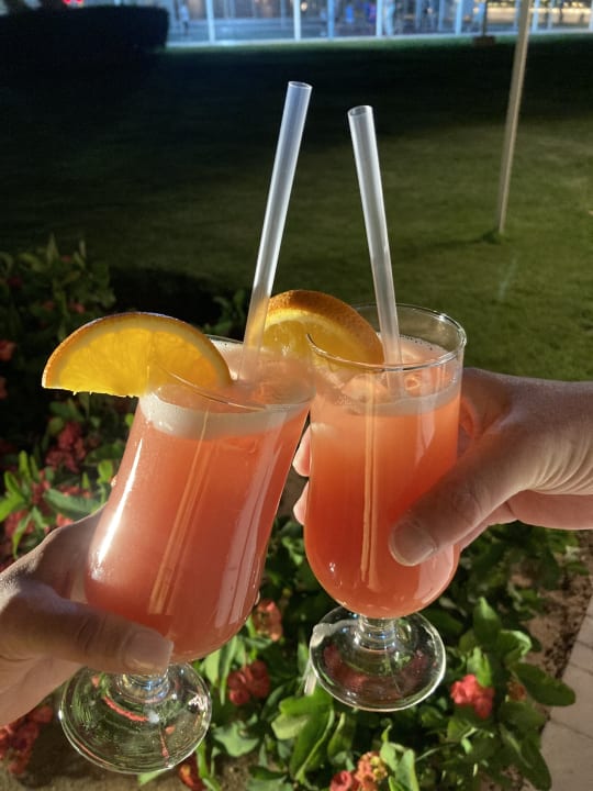 Gastro Beach Albatros Resort