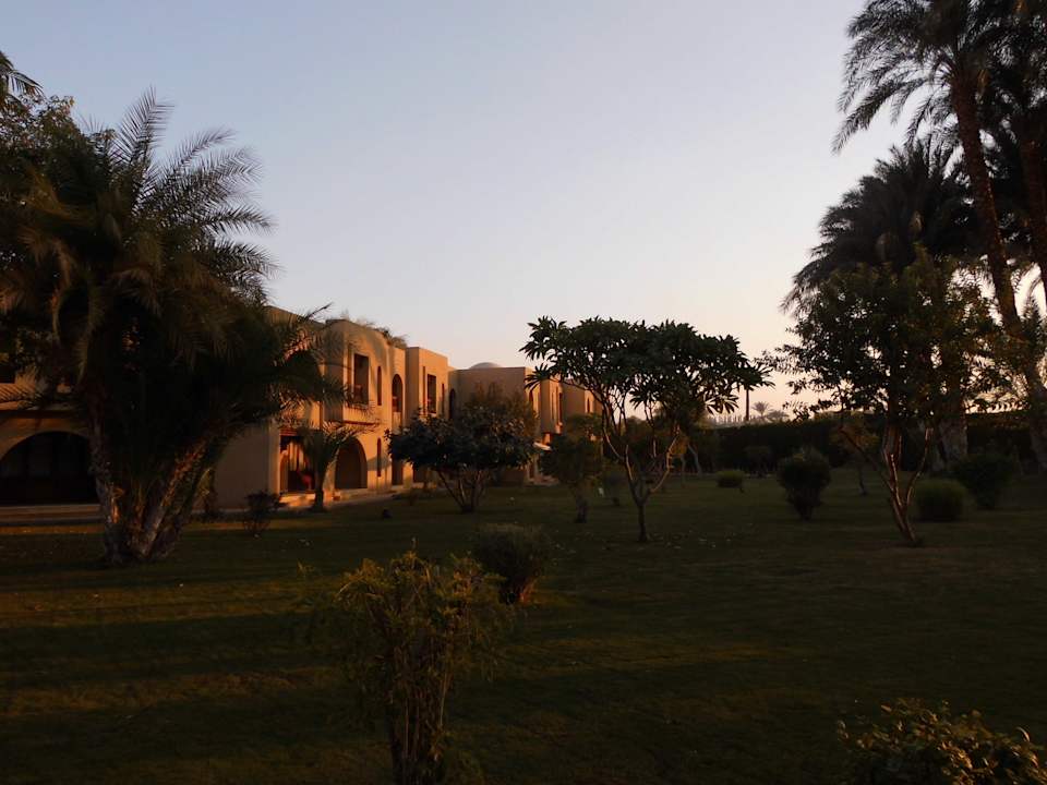 Garten Mercure Luxor Karnak