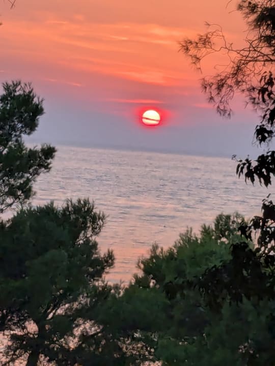 Ausblick Bluesun Hotel Soline