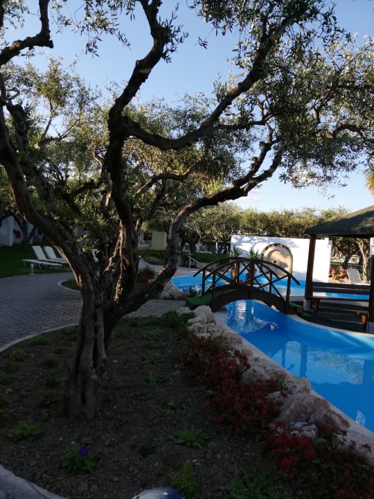 Pool TUI KIDS CLUB Alex Beach