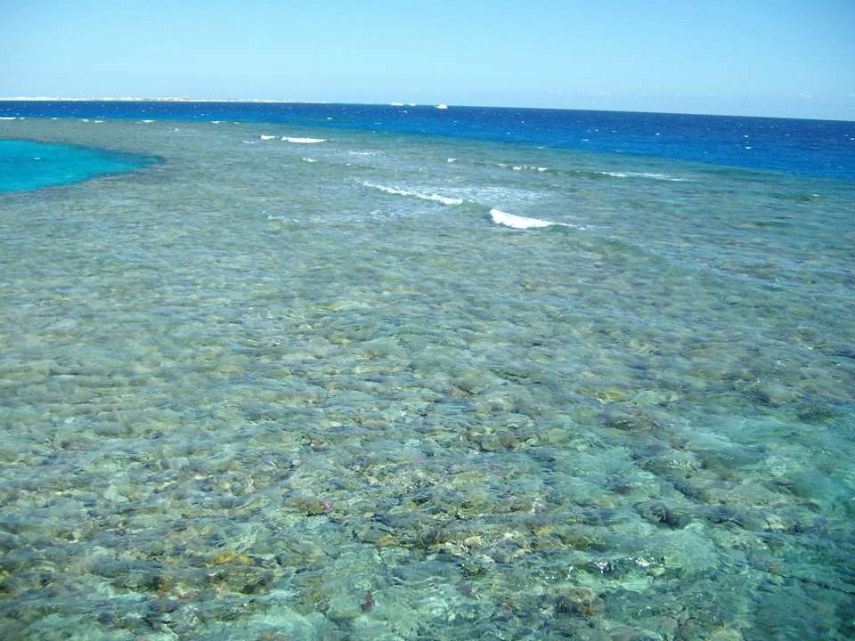 Korallenriff Shams Prestige Abu Soma-Adults Only