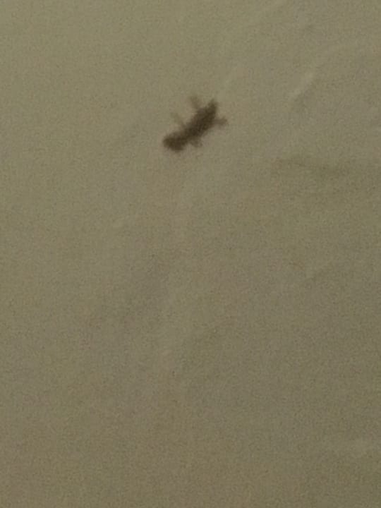 Zimmer Le Peninsula Bay Beach Resort & Spa