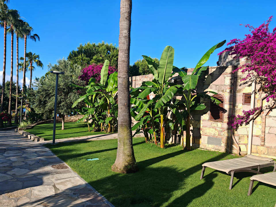 Gartenanlage Arum Barut Collection