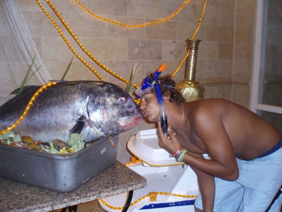 Fabiu mit Fisch Shams Safaga Resort