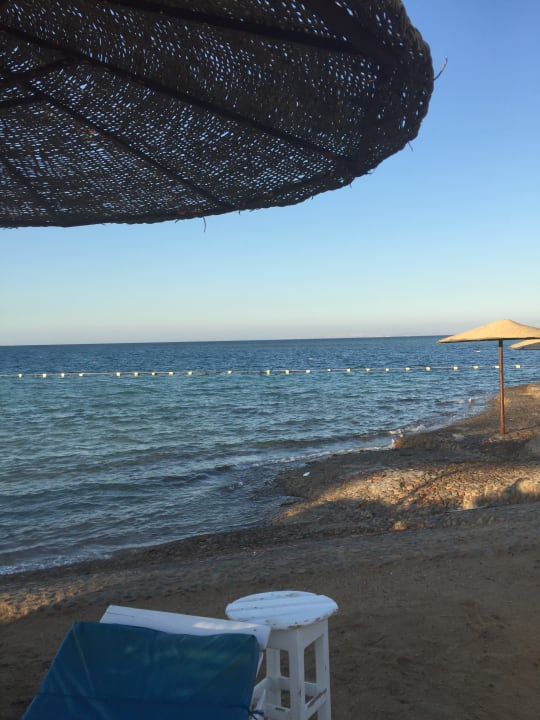 Strand Sea Star Beau Rivage