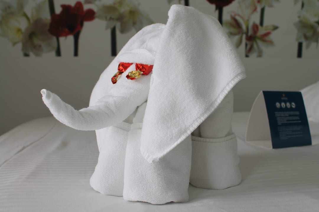 Nette Gehste  Iberostar Waves Bahia de Palma