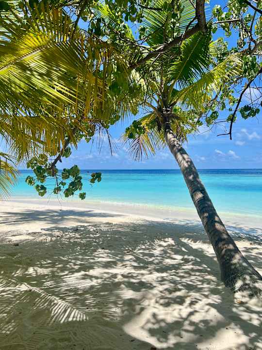 Ausblick Safari Island Maldives