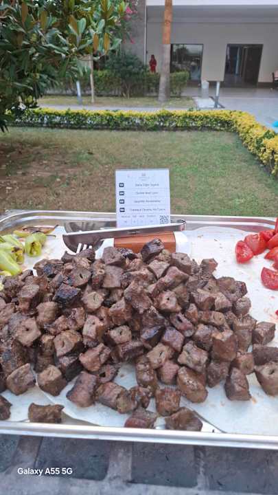 Gastro Terrace Elite Resort