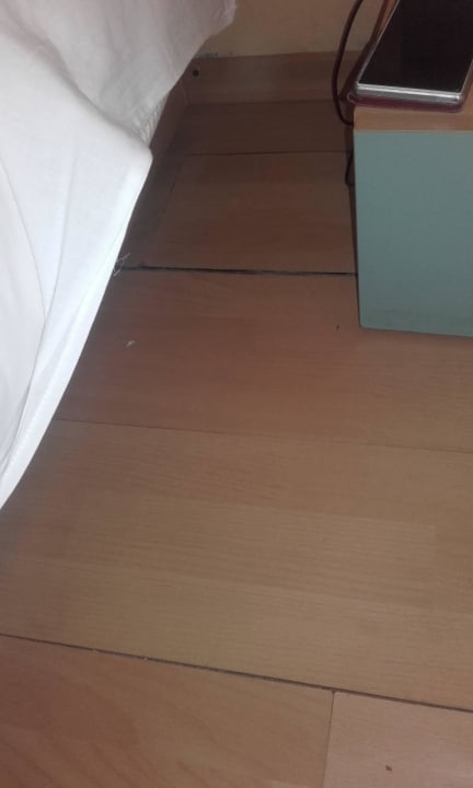 Rozpadające się panele z mrówkami Hotel Atlas