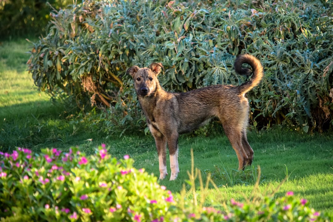 Sonstiges Three Corners Equinox Beach Resort