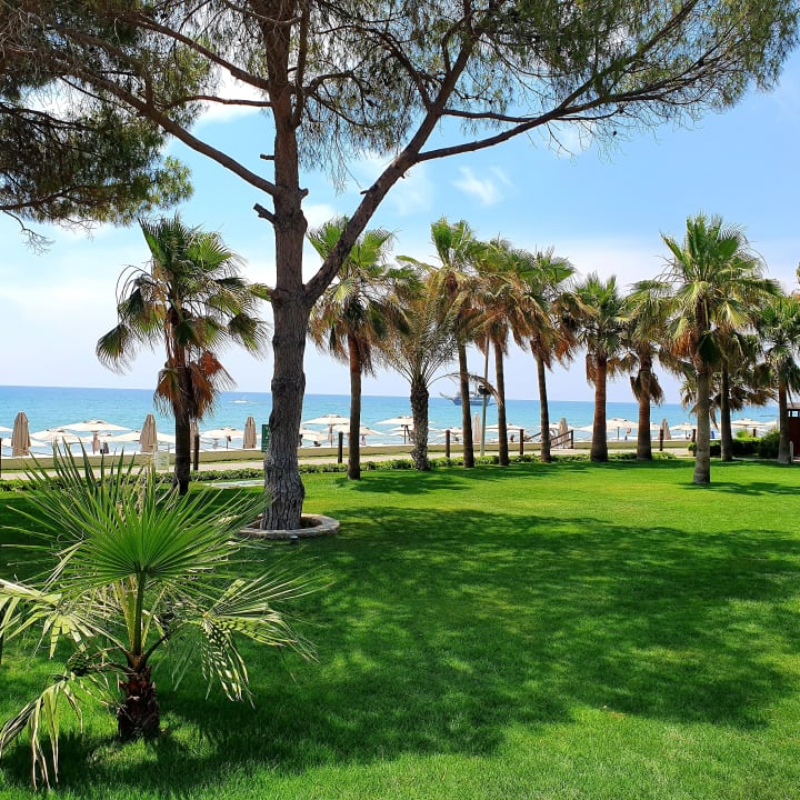 Gartenanlage Acanthus Cennet Barut Collection