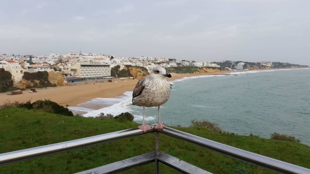 Albufeira Hotel Alisios