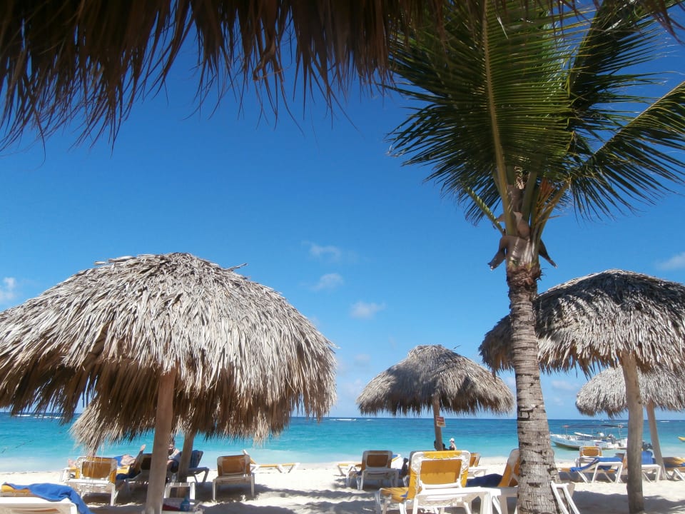 Strand mit Schirmen Iberostar Waves Punta Cana