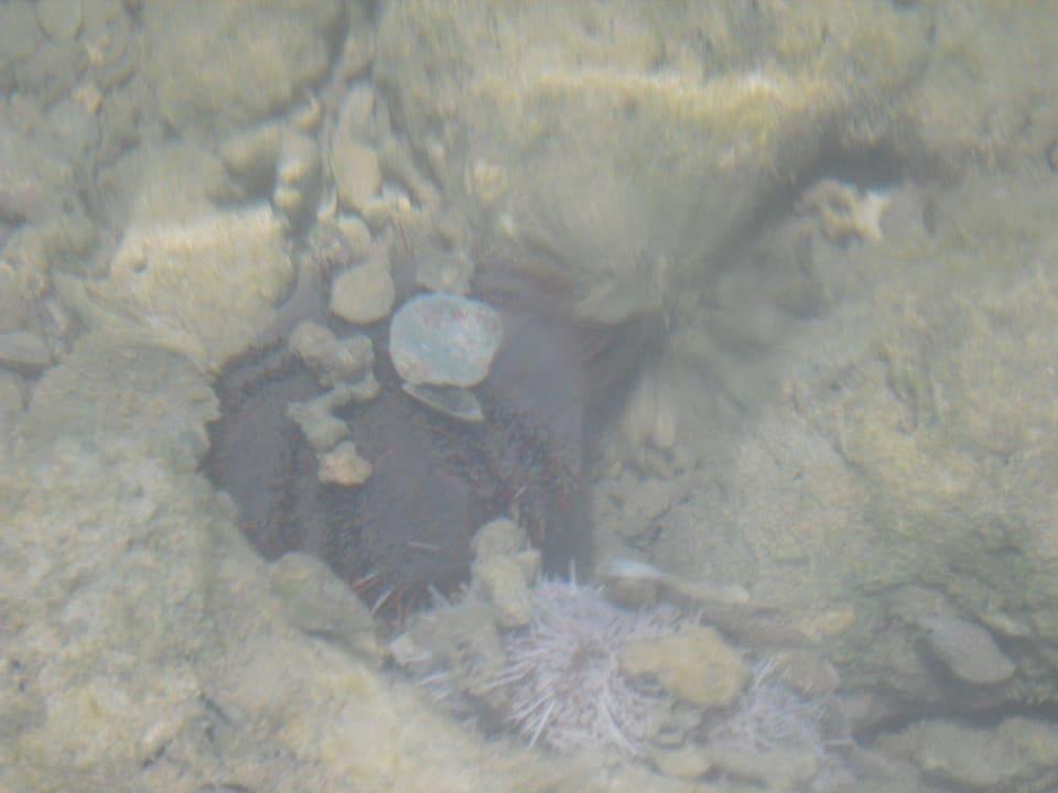 Unterwasser Pickalbatros Alf Leila Wa Leila Resort - Neverland Hurghada