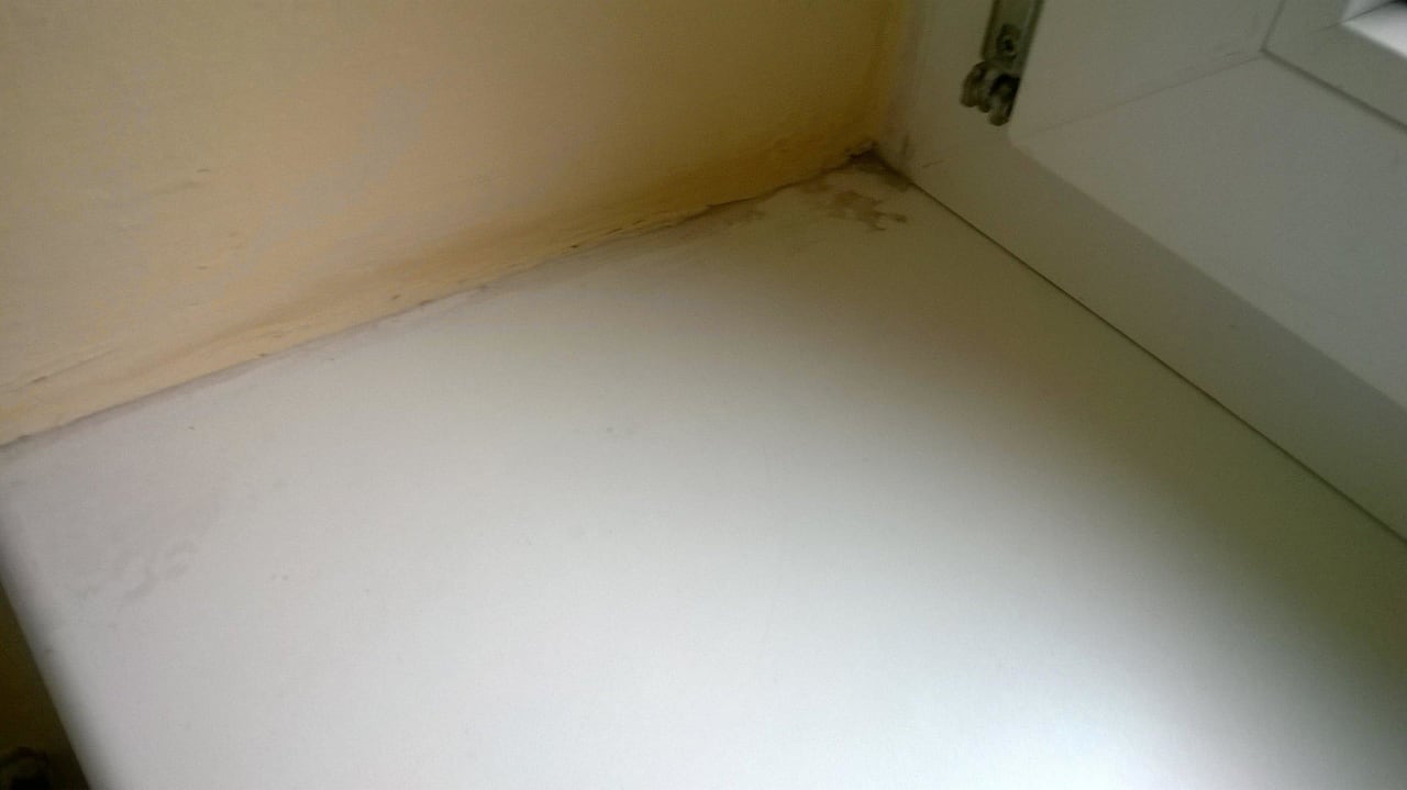 Nochmal Schimmel Fenster Thermal Resort Hotel Elisabethpark