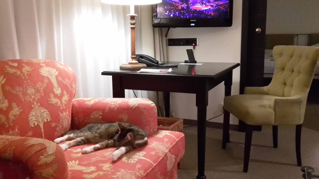 Wohnbereich  Hotel Elbflorenz Dresden