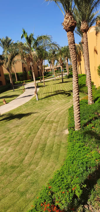 Zimmer Stella Beach Resort & Spa Makadi Bay