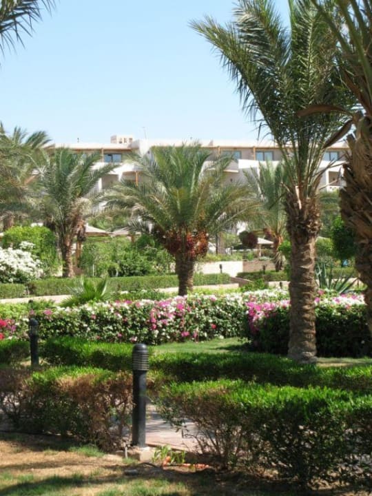 Gartenanlage Old Wing Fort Arabesque Resort, Spa & Villas