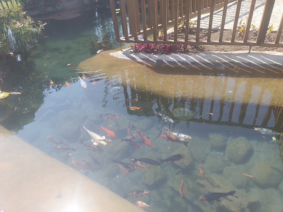 Gartenanlage Club Tuana Fethiye