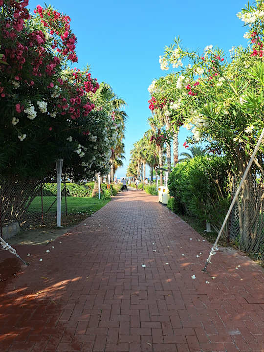 Gartenanlage Sunis Elita Beach Resort & Spa