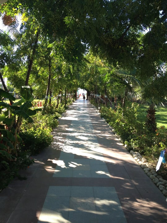 Der Weg zum Strand Belek Beach Resort Hotel