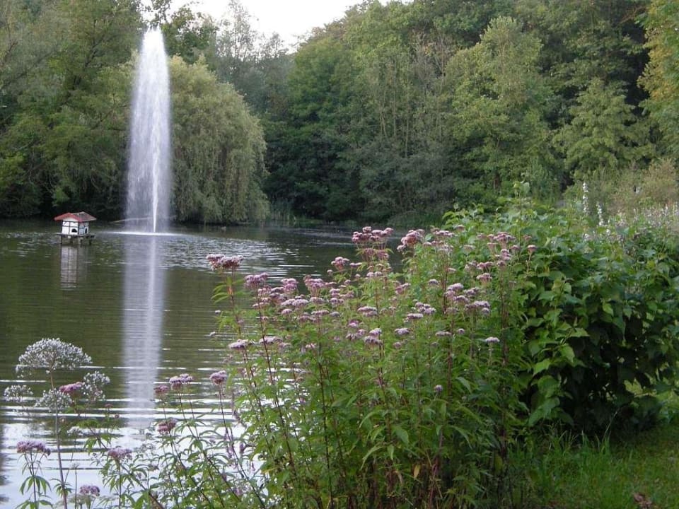 Weiher unmittelbar am Hotel Hotel am Kaiserbrunnen