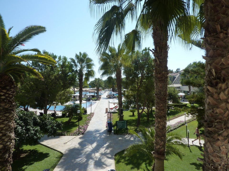 Weg zum Strand Arum Barut Collection