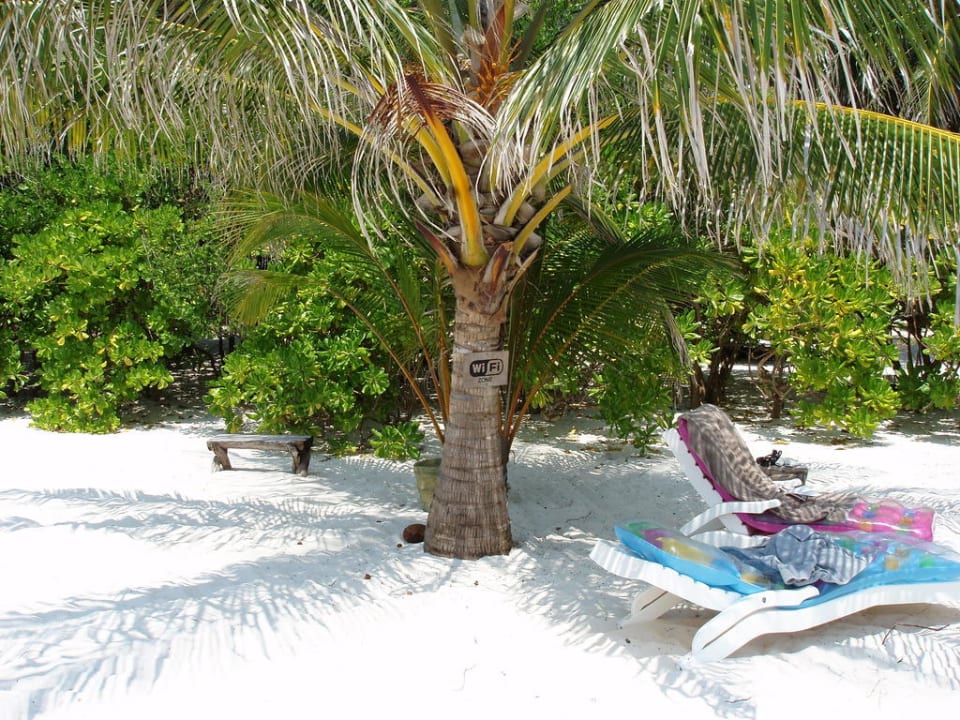 Das bedarf keiner Erklärung Summer Island Maldives