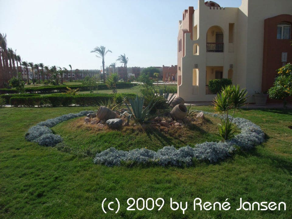 Noch mehr Pflanzen SUNRISE Royal Makadi Resort