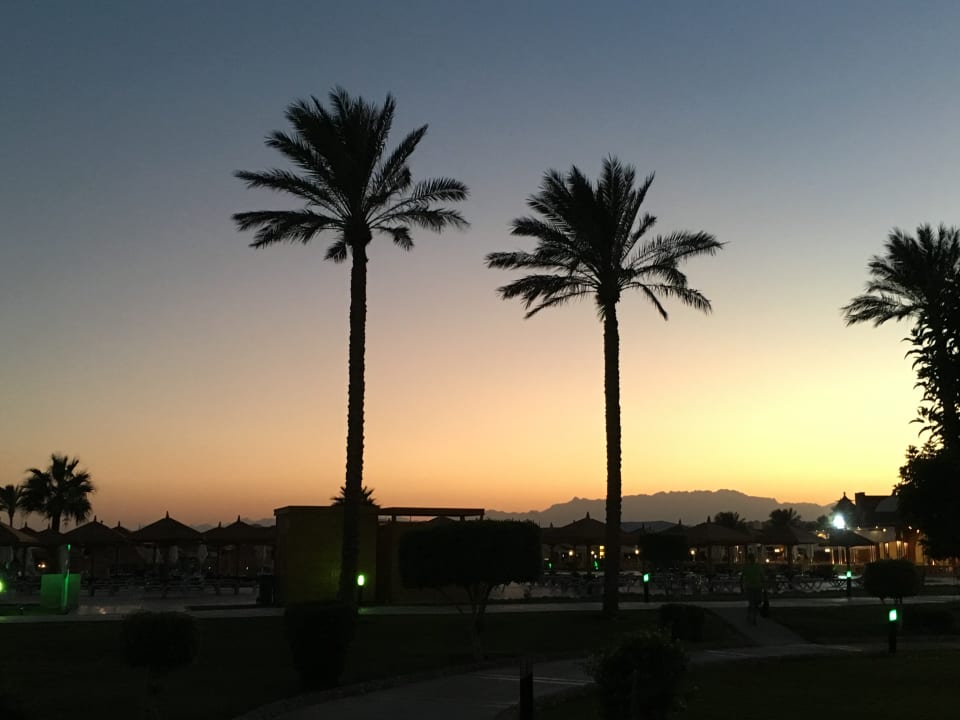 Ausblick SUNRISE Royal Makadi Resort