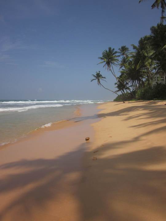 Ein Stückchen weiter nach links Hotel Haus am Meer Wilde Ananas