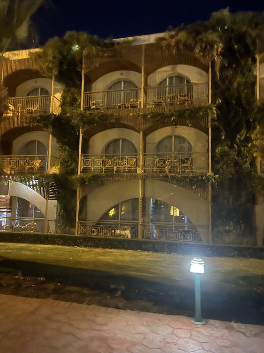 Außenansicht Desert Rose